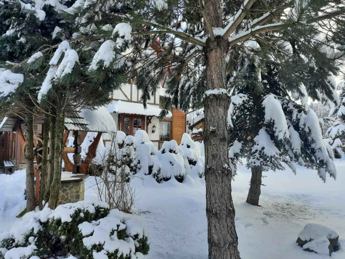 Sadyba Iryna Садиба Ірина Tukhlya Exterior foto